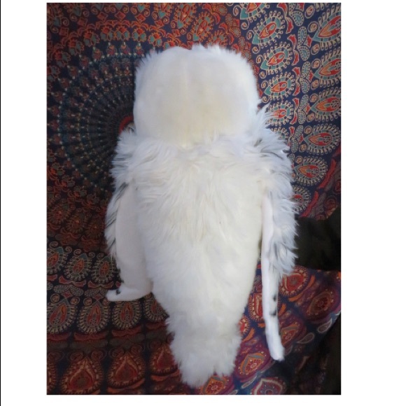 Hedwig plush - Picture 4 of 4